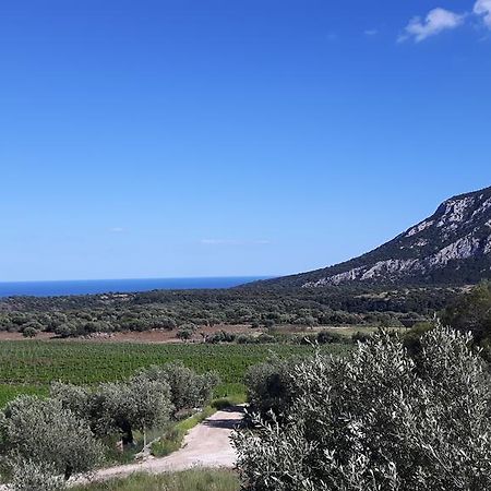 Agriturismo Su Barcu Кала Гононе Екстериор снимка