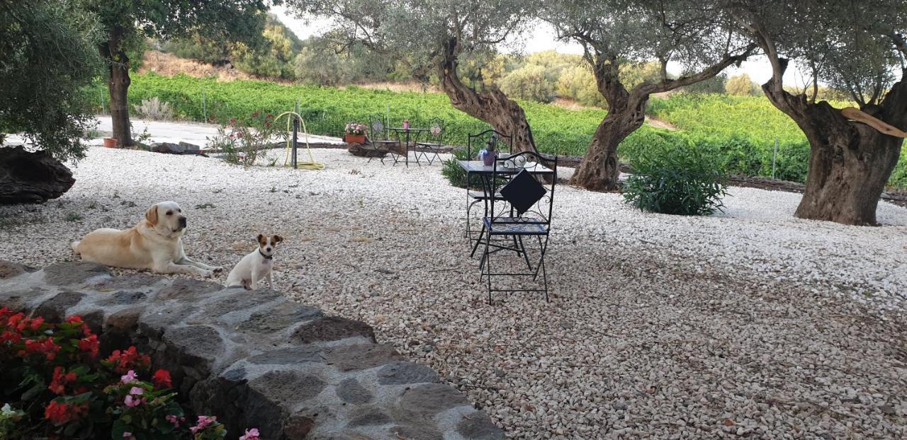 Agriturismo Su Barcu Кала Гононе Екстериор снимка