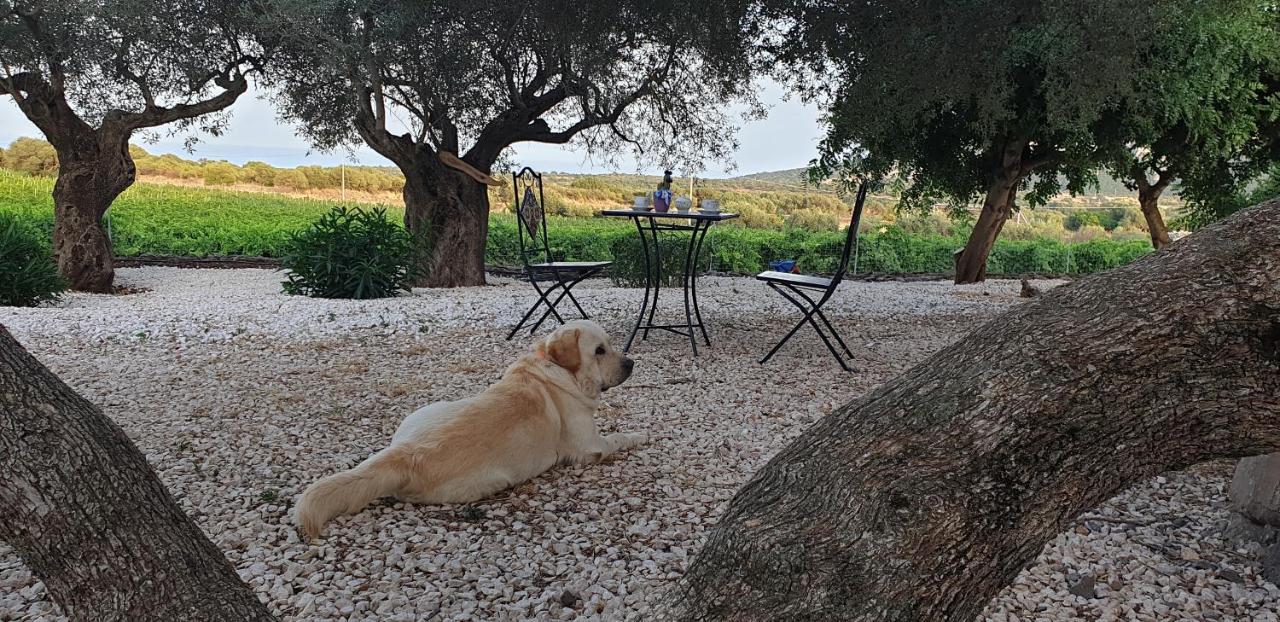 Agriturismo Su Barcu Кала Гононе Екстериор снимка