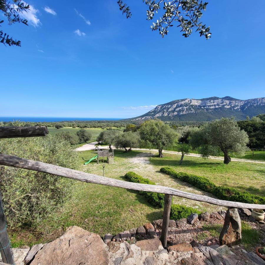 Agriturismo Su Barcu Кала Гононе Екстериор снимка
