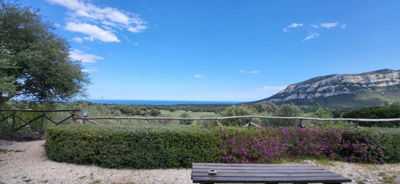 Agriturismo Su Barcu Кала Гононе Екстериор снимка