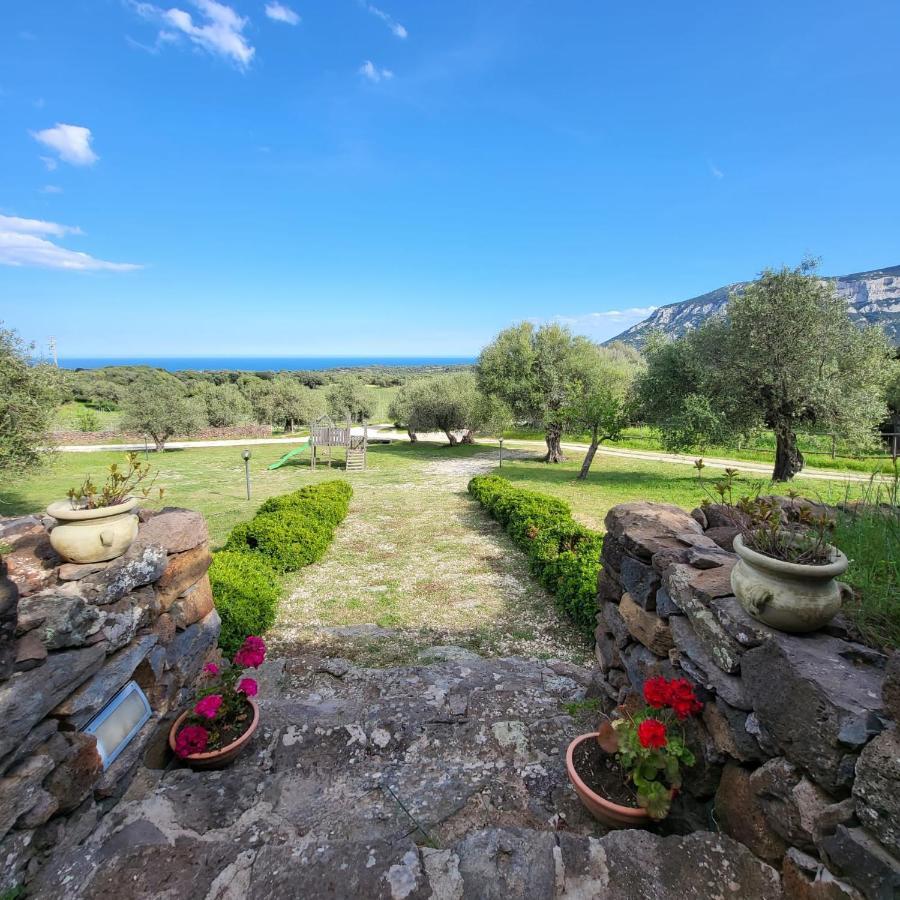Agriturismo Su Barcu Кала Гононе Екстериор снимка