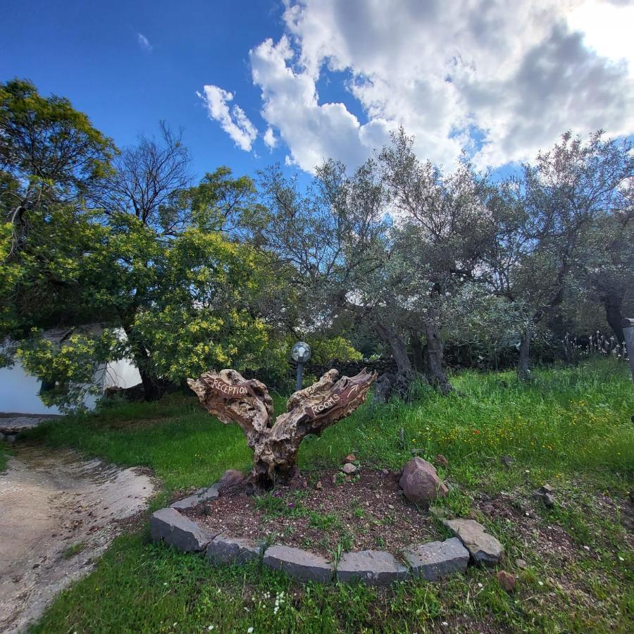 Agriturismo Su Barcu Кала Гононе Екстериор снимка